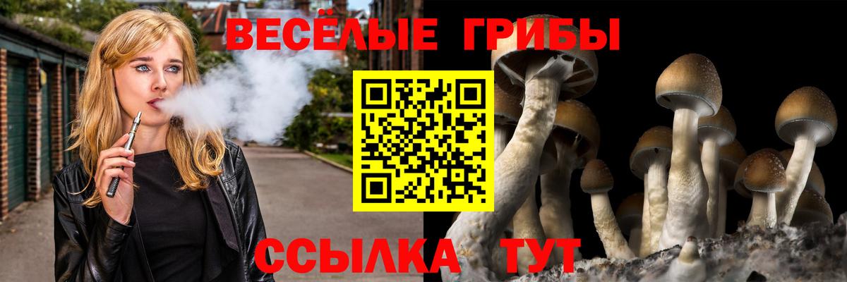 Галлюциногенные грибы Psilocybe  Вход с VPN  Хасавюрт 